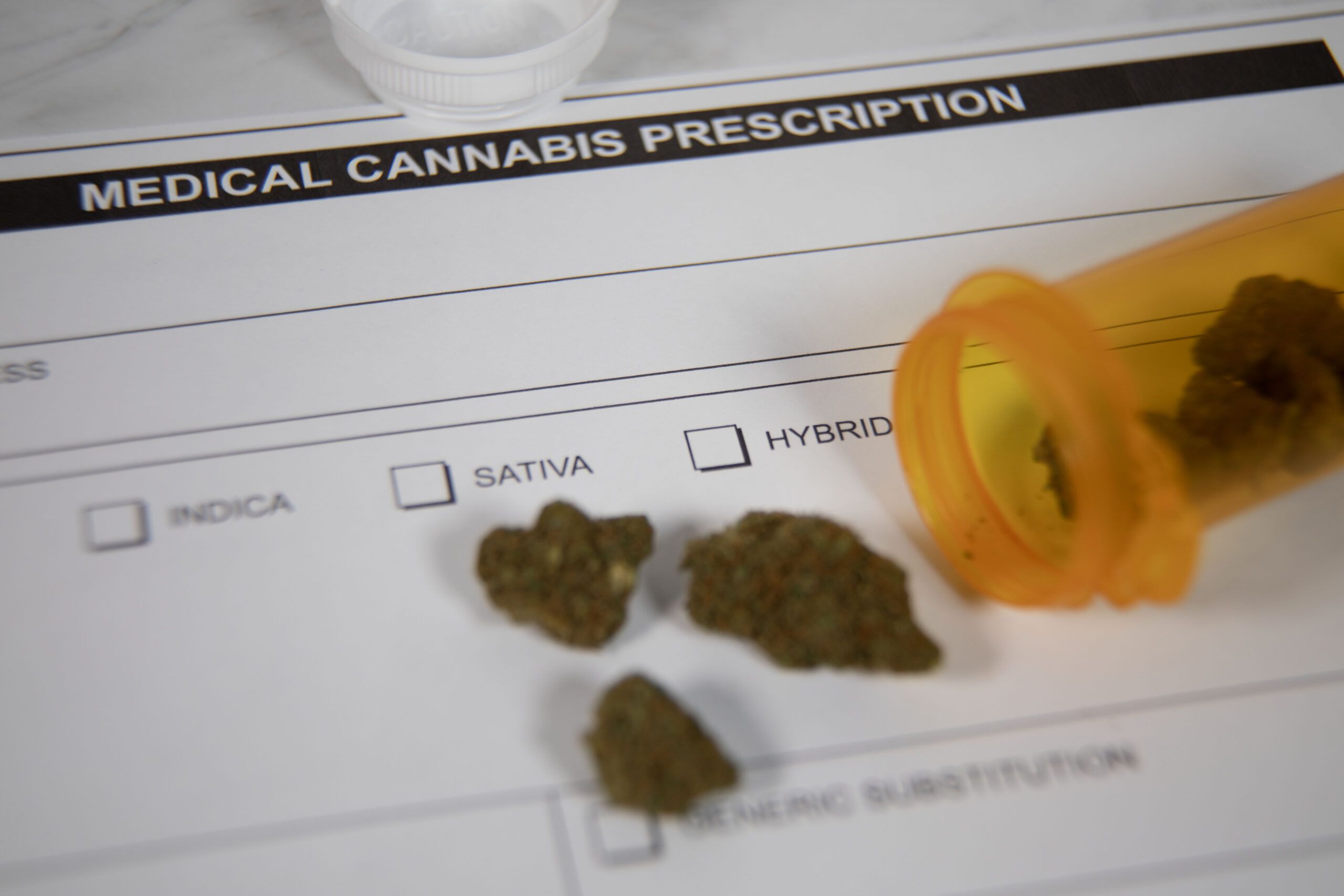 The Future of Cannabis Medicine: Personalized Treatment Plans Powered by AI